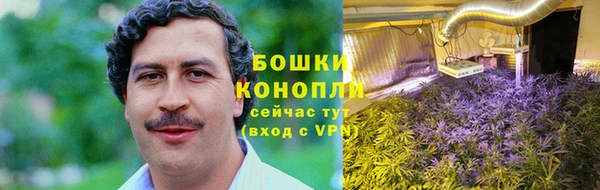 сатива Навашино