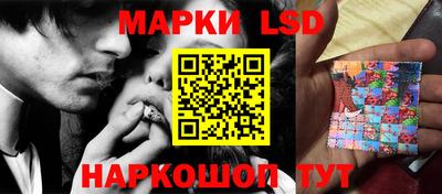 Альфа ПВП Гатчина