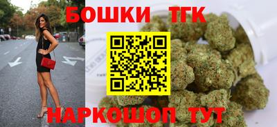 СК Гагарин