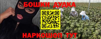 Альфа ПВП Гатчина