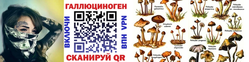 Галлюциногенные грибы MAGIC MUSHROOMS Камень-на-Оби