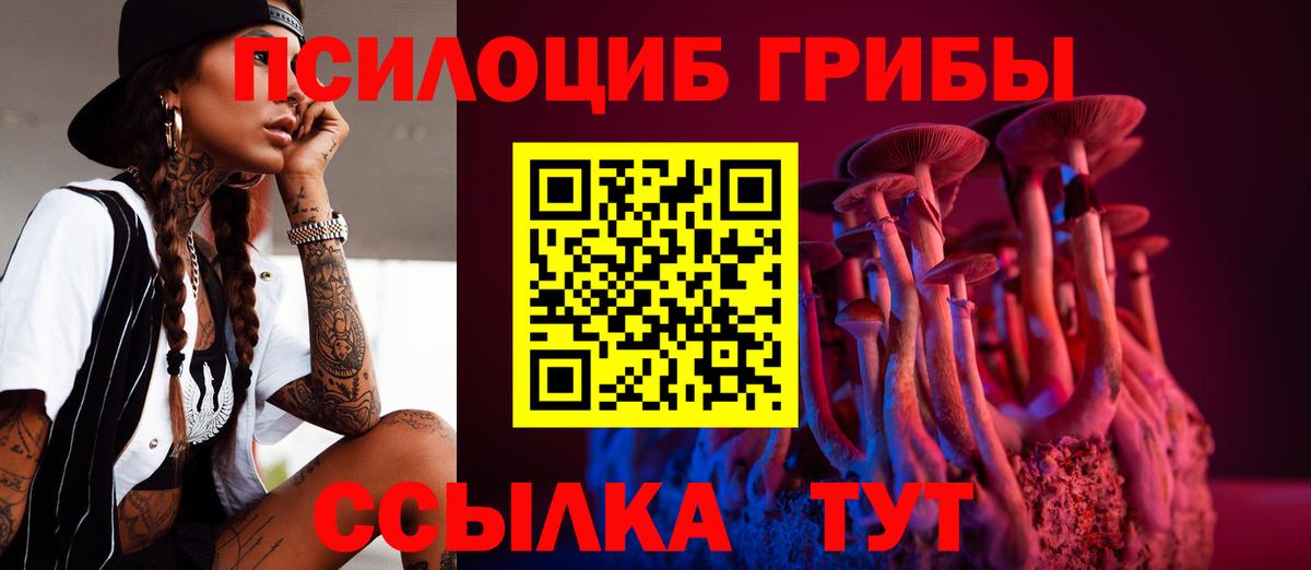 Псилоцибиновые грибы ЛСД Камень-на-Оби