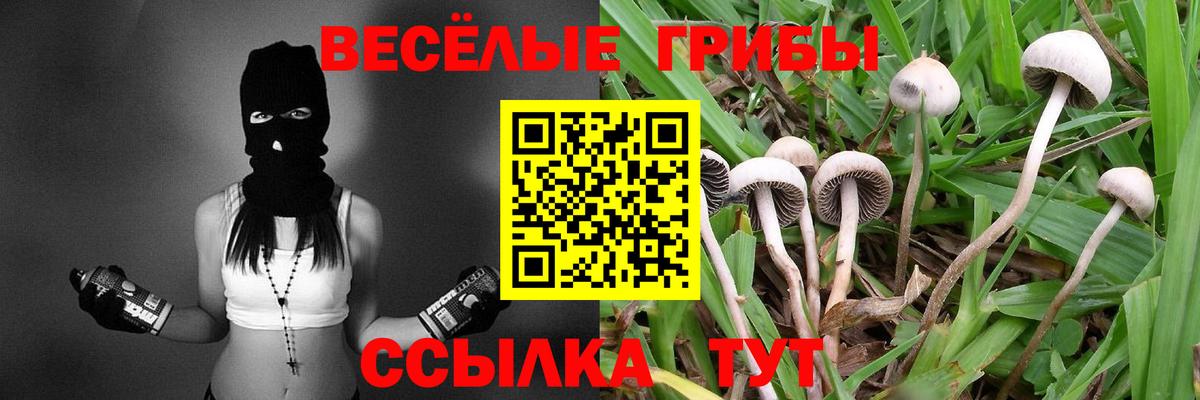 Псилоцибиновые грибы Psilocybine cubensis  сколько стоит  Камень-на-Оби  Вход с VPN 